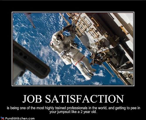 Job Satisfaction in space