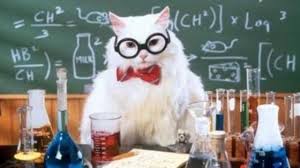 science-cat